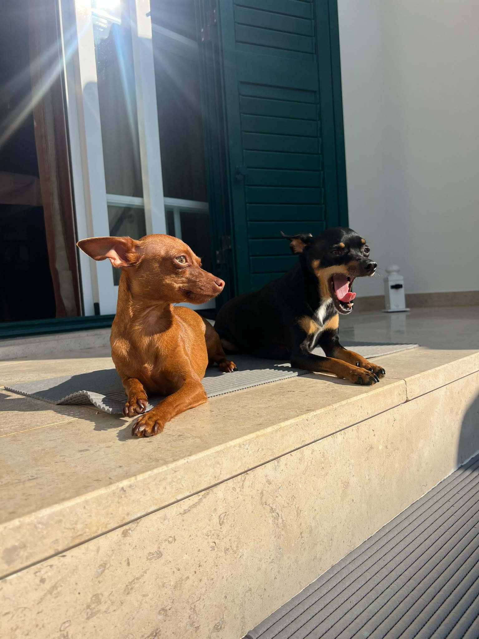 Kika e Gui